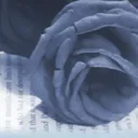 Love of Literature: DA Community