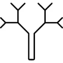 Openingtree.com