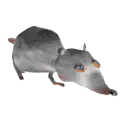 junos server