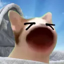 CATS XD Server