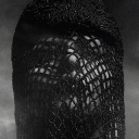 Discovery icon for Lady Gaga Discord server