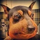 Pee