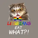 Not Offended Lesbians