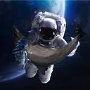 Dolphins got in space