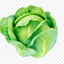 The Cabbage Patch