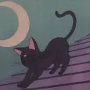 Tsuki