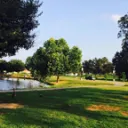 United Nations Technology Development And Internal Credit ReavueBoard