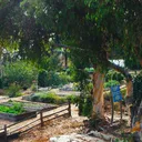 Roger's Community Garden