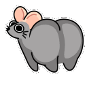 𝙍𝙖𝙜-𝙏𝙖𝙜 🐭