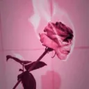 ✧༺♥༻∞ 𝔇𝔢𝔞𝔡𝔩𝔶 𝔄𝔢𝔰𝔱𝔥𝔢𝔱𝔦𝔠∞༺♥༻✧