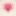 The Lotus Hotel's icon