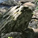 big rocks