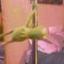 Shitpost, Anime Tiddies, and The Word Fuck's icon