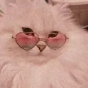 ♡𝙑𝙞𝙗𝙚𝙯𝙯♡'s icon