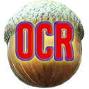 Oak City Raiders