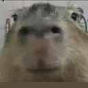 Adriens server