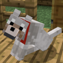 Minecraft Fan Club