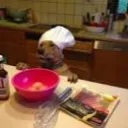 Nℽx๏'s Kitchen