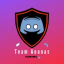 Team Ananas