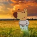 memes crusaders's icon