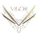 VIGOR | ڤيجور