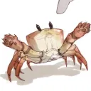 Crab's Development