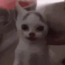 OmegaT's ME LON cult