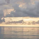 𝘼𝙣𝙜𝙚𝙡'𝙨 🕊☁