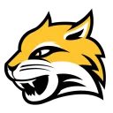 WSC Esports Academy
