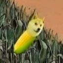 Avalon Memorial Server icon