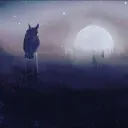 ♛ 𝕺𝖜𝖑𝖘 𝕶𝖎𝖓𝖌𝖉𝖔𝖒 ♛