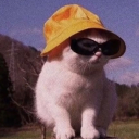nya~ Server Icon