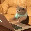 Teletrabajo UwU