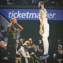 bird nest building tutorial Discord Server Icon