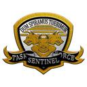 Task Force Sentinel Discord Server Icon