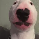 unisanctuary Discord Server Icon