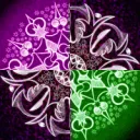 Dianthus Realm