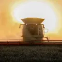 Real.Farming.2k21