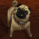 Toast - Spineshatter Alliance (previously known as cube's pugs)