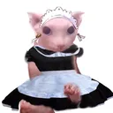 Femboy Maid Cafe