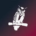 Strigid Development Discord Server Icon