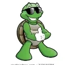 Turtle9878's server