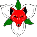 Kingdom Community Unofficial