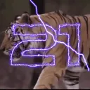 21