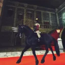Star Stable 🤍
