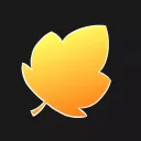 Autumn Forest