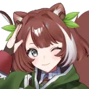 Sandra’s Scouts