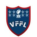 Virtual Franchise Football League (VFFL)