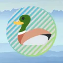 The Ducks Pond