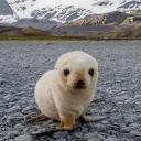 closed Discord Server Icon